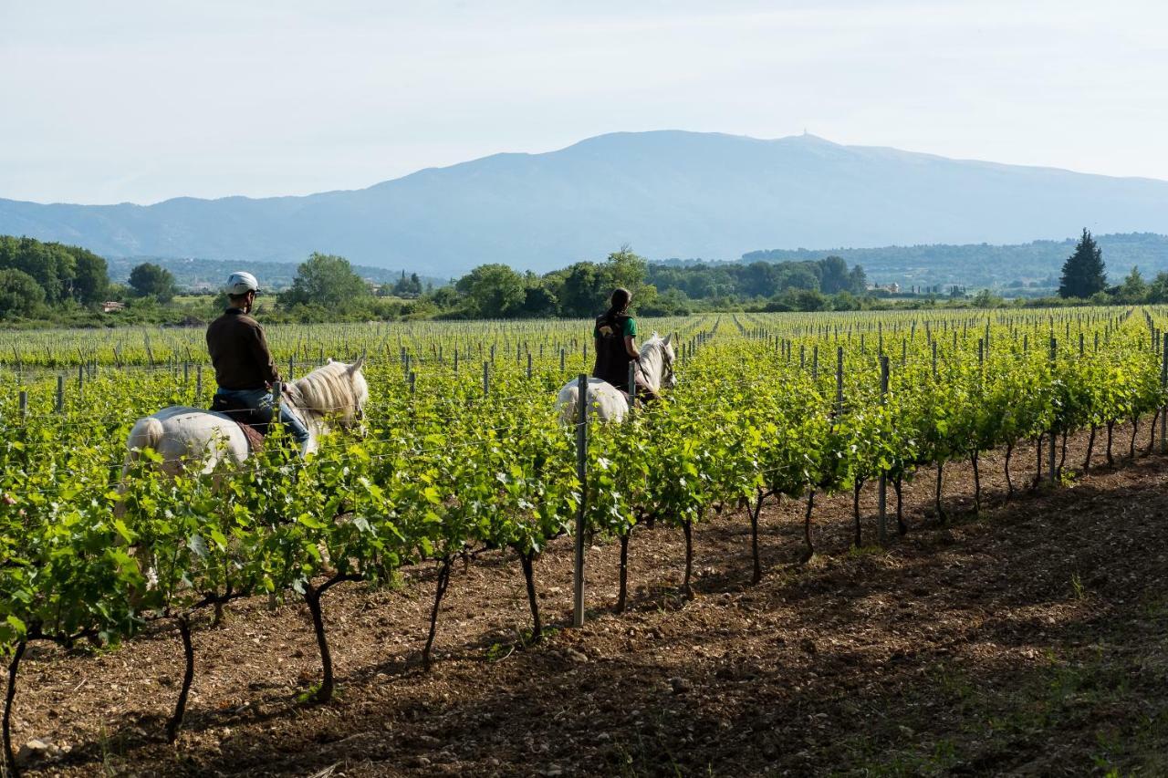 Chateau La Croix Des Pins Mazan Eksteriør bilde